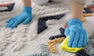 Ręce w niebieskich rękawiczkach czyszczą kolorowy dywan. Jedna ręka z żółtą ściereczką, druga delikatnie dotyka włókien. Pranie dywanu proszkiem do prania to skuteczny sposób na odświeżenie wnętrza.