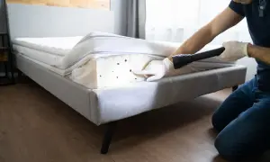 Inspektor w rękawiczkach wskazuje latarką na pluskwy w materacu.